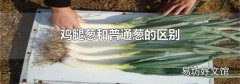 鸡腿葱和普通葱的区别