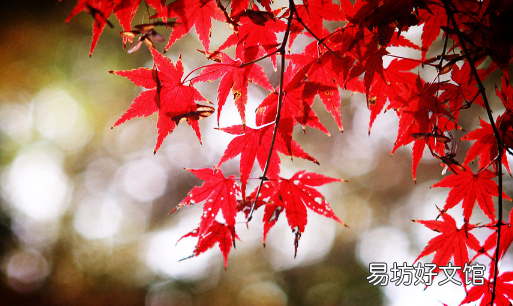 今年秋天會干旱嗎 2021年是干旱還是洪澇年