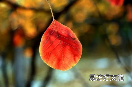 今年秋天會干旱嗎 2021年是干旱還是洪澇年