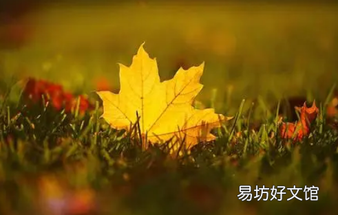 今年秋天會干旱嗎 2021年是干旱還是洪澇年