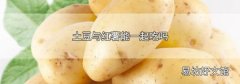土豆与红薯能一起吃吗