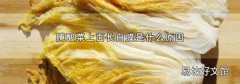 腌酸菜上面长白膜是什么原因