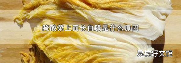 腌酸菜上面长白膜是什么原因