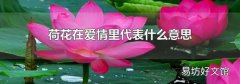 荷花在爱情里代表什么意思
