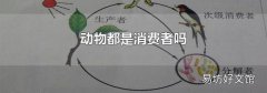动物都是消费者吗