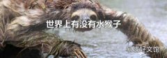 世界上有没有水猴子
