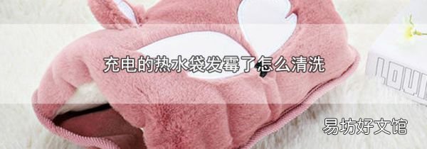 充电的热水袋发霉了怎么清洗