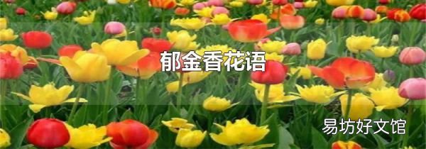 郁金香花語