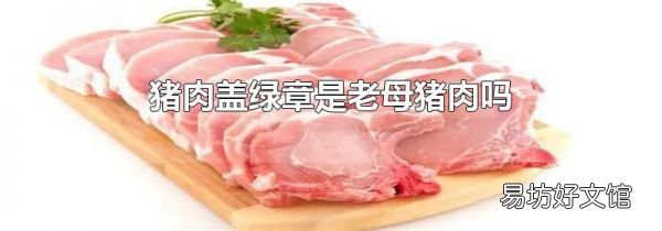 豬肉蓋綠章是老母豬肉嗎