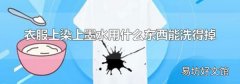 衣服上染上墨水用什么东西能洗得掉