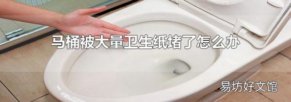 馬桶被大量衛(wèi)生紙堵了怎么辦