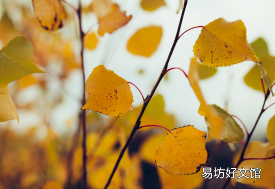 秋天为什么早晚温差大 秋天的昼夜温相差多少