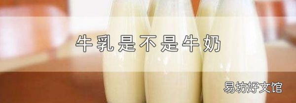 牛乳是不是牛奶