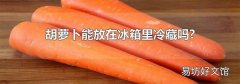 胡萝卜能放在冰箱里冷藏吗?