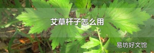 艾草杆子怎么用
