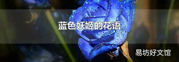 蓝色妖姬的花语