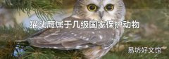 猫头鹰属于几级国家保护动物