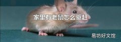 家里有老鼠怎么驱赶