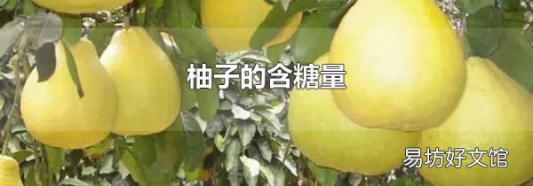 柚子的含糖量