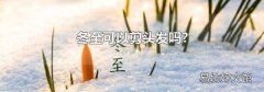 冬至可以剪头发吗?