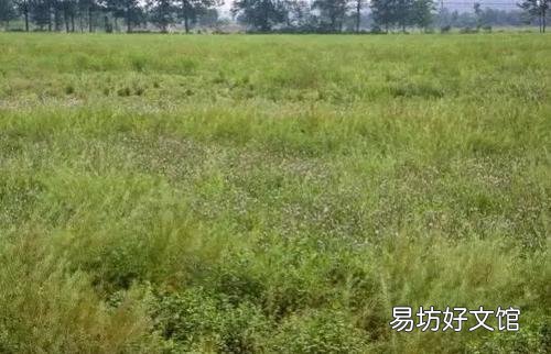 嫁出去的女兒有權(quán)回娘家爭土地嗎 外嫁女有權(quán)回娘家耕田地嗎