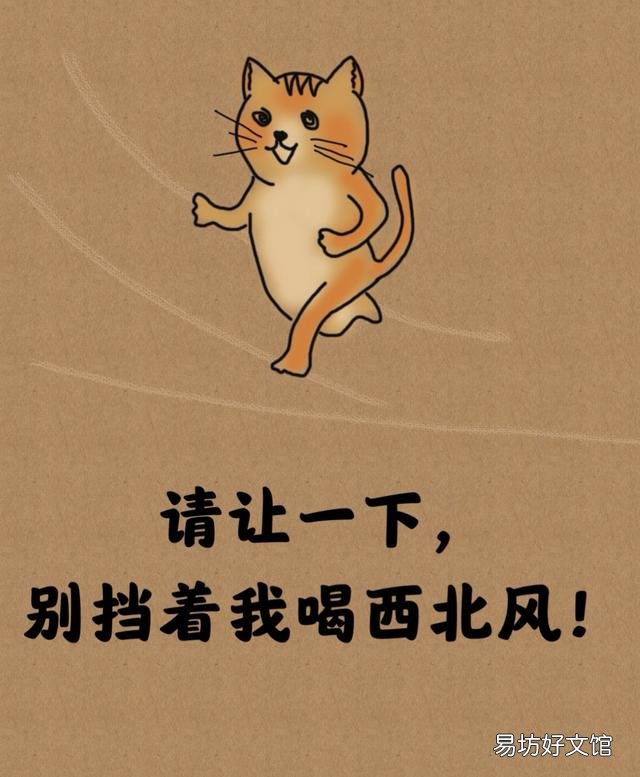 適合發(fā)朋友圈幽默風(fēng)趣的短句 不笑不要錢