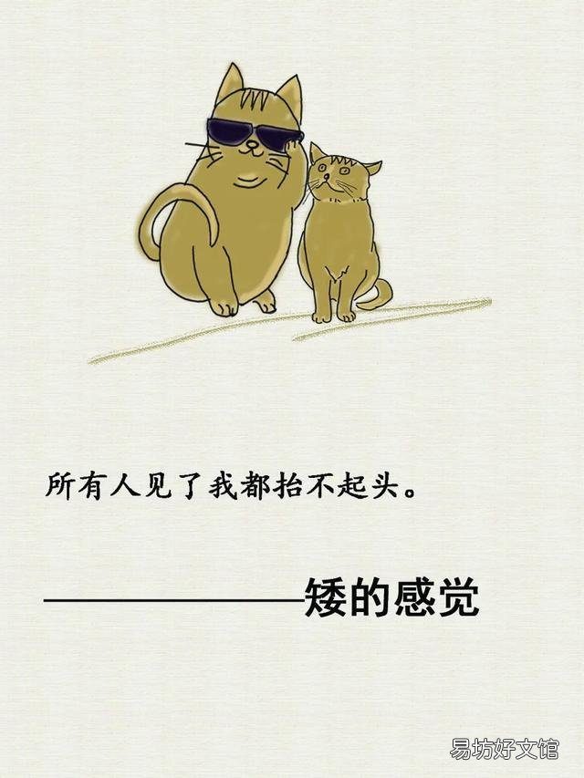 適合發(fā)朋友圈幽默風(fēng)趣的短句 不笑不要錢