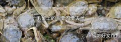 毛蟹上的毛要不要去掉