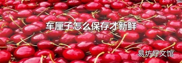 车厘子怎么保存才新鲜
