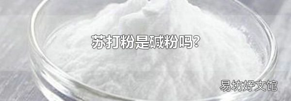 蘇打粉是堿粉嗎?