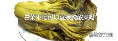 白菜不晒可以直接腌酸菜吗