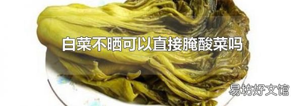 白菜不晒可以直接腌酸菜吗