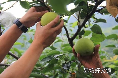 下一轮中国大发展是不是在农村 未来20年农村发展趋势