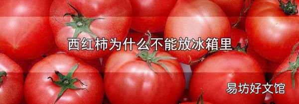 西红柿为什么不能放冰箱里