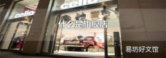 什么是旗舰店