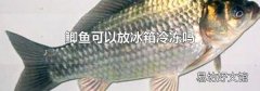 鲫鱼可以放冰箱冷冻吗