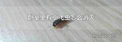卧室里有小飞虫怎么消灭