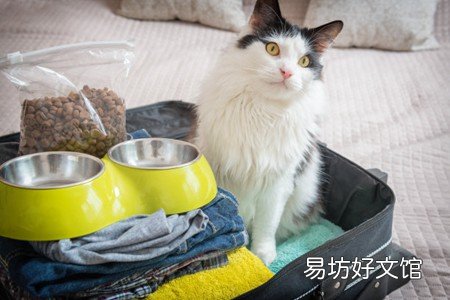 貓咪唇是什么樣子 寵物貓嘴唇腫家庭常用補(bǔ)救方案