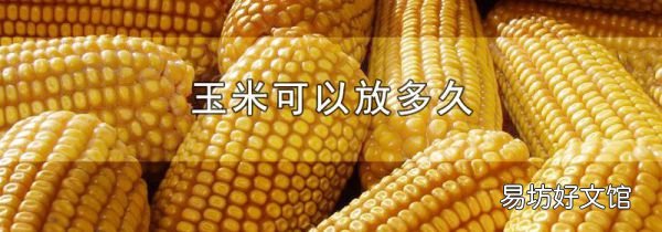 玉米可以放多久