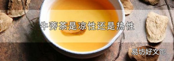 牛蒡茶是涼性還是熱性