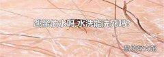 跳蚤怕水吗,水洗能洗死吗?