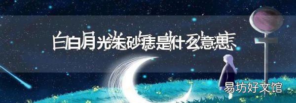 白月光朱砂痣是什么意思