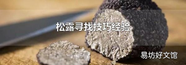 松露寻找技巧经验